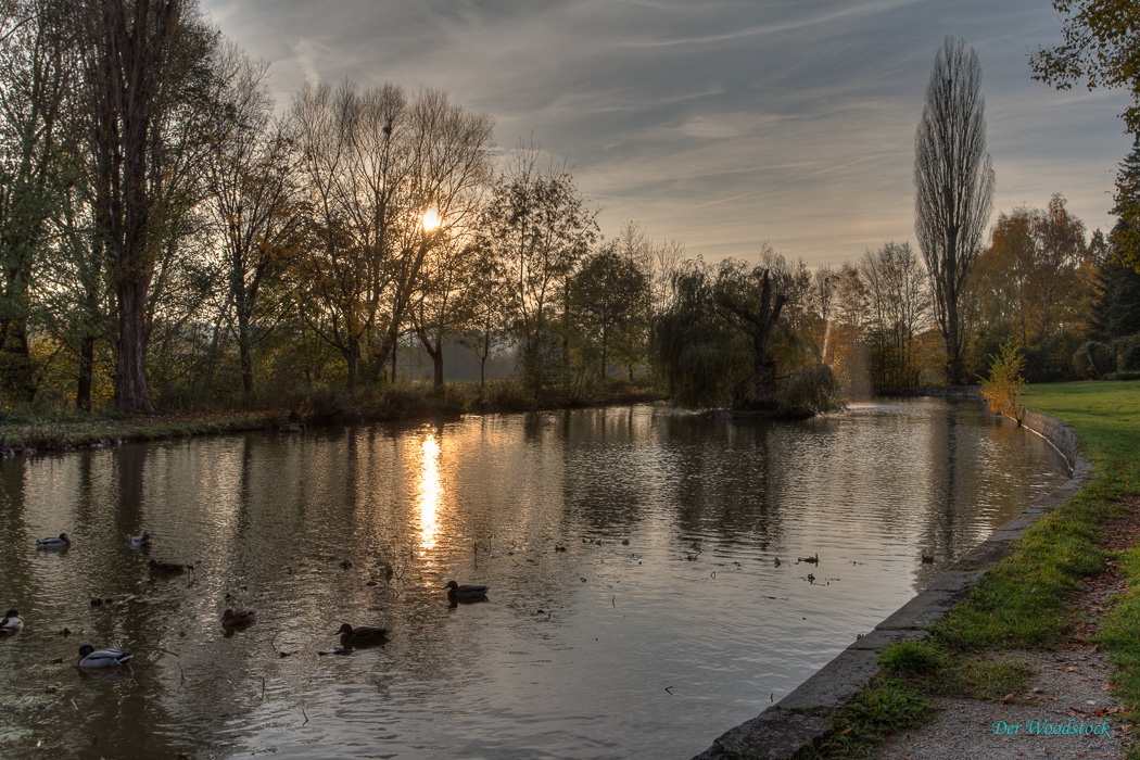 Abendstimmung am Schwanenweiher in Langenzenn