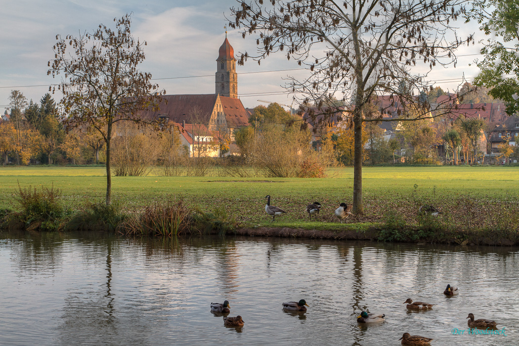 Am Schwanenweiher