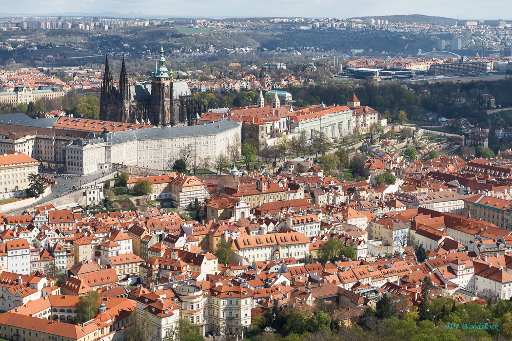 Blick vom Petrin auf den Hradschin